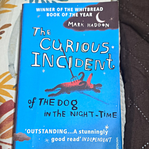 Vintage the curious incident - the,
