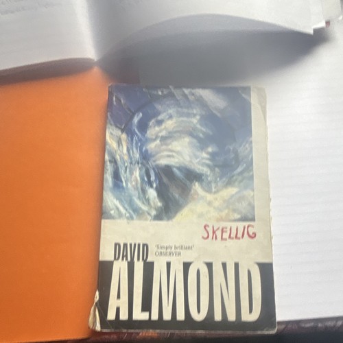 David almond skellig paperback - almond,