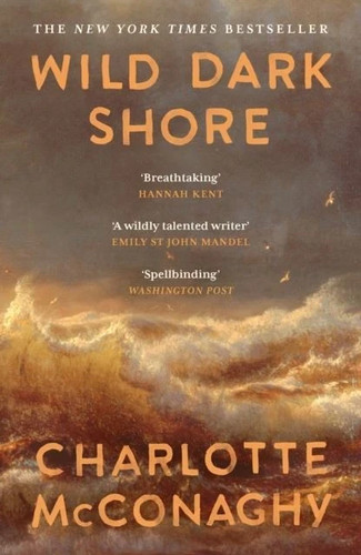 Wild dark shore charlotte - wild,